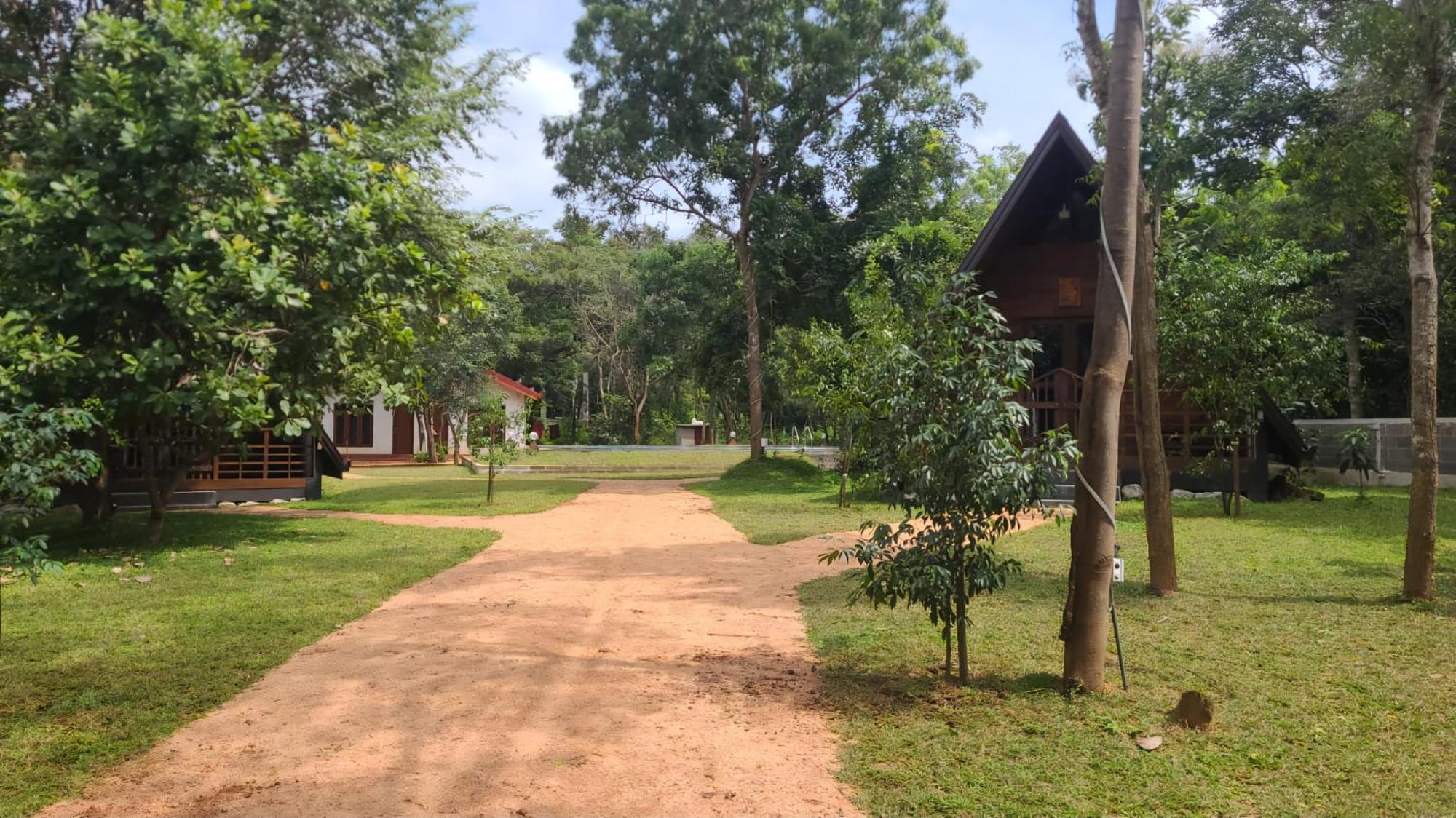 Lion King Jungle Cabanas Sigiriya Esterno foto