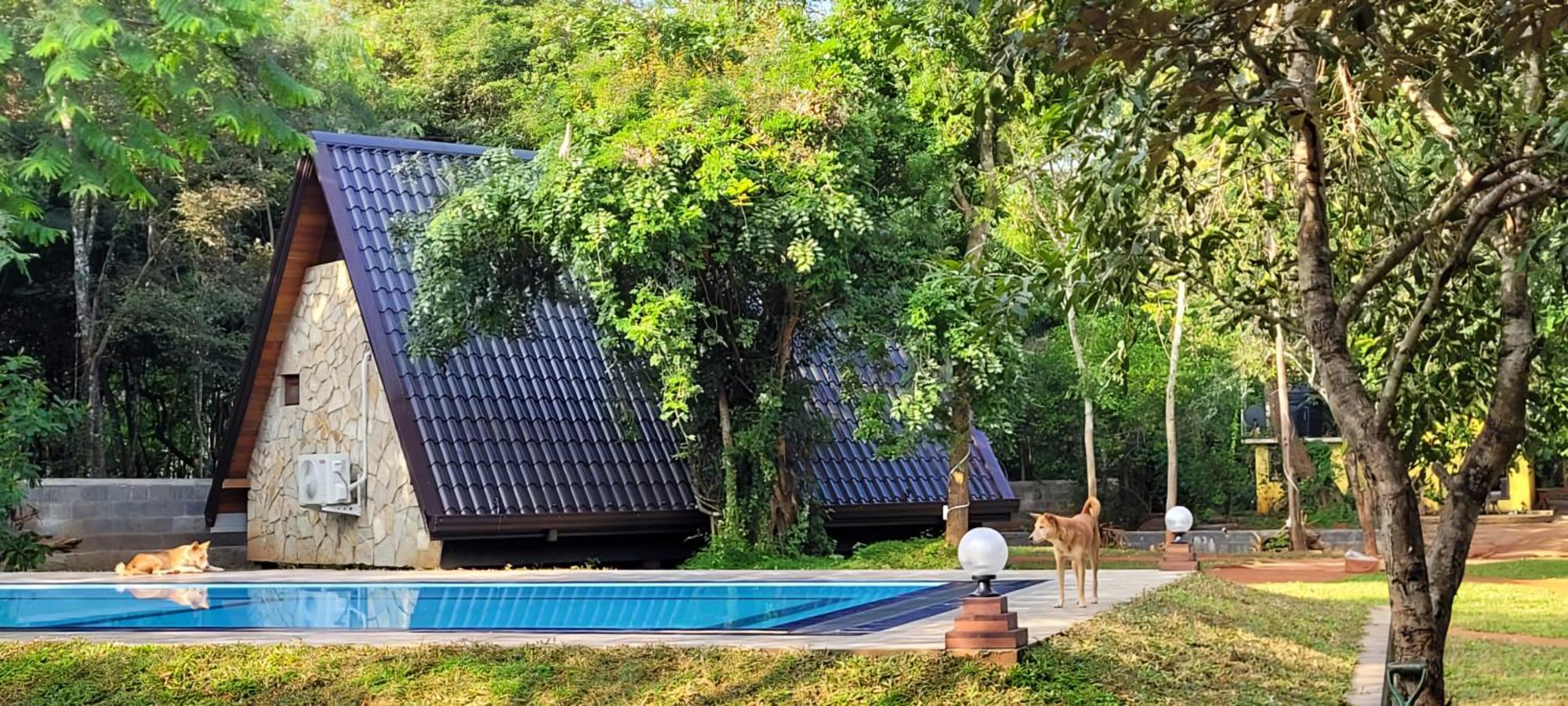 Lion King Jungle Cabanas Sigiriya Esterno foto