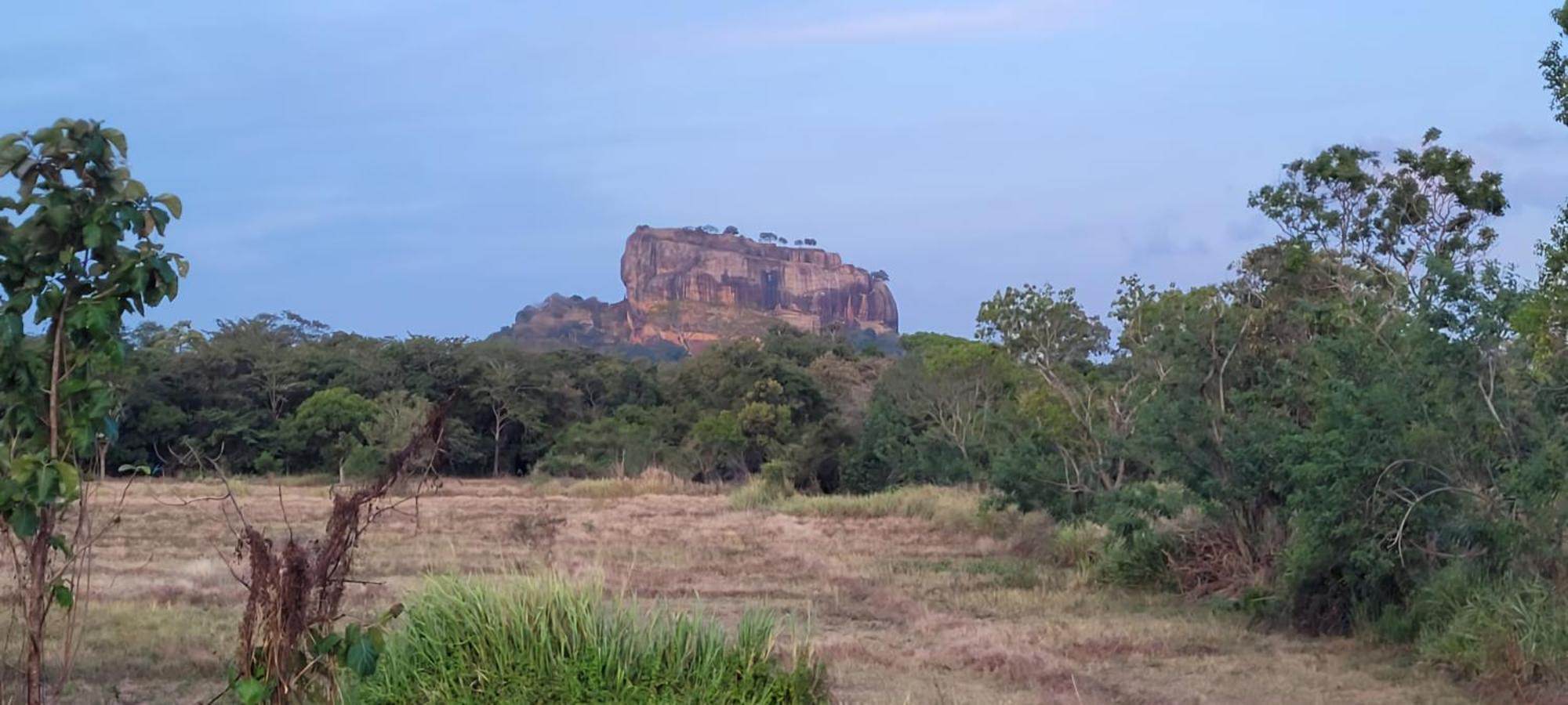 Lion King Jungle Cabanas Sigiriya Esterno foto